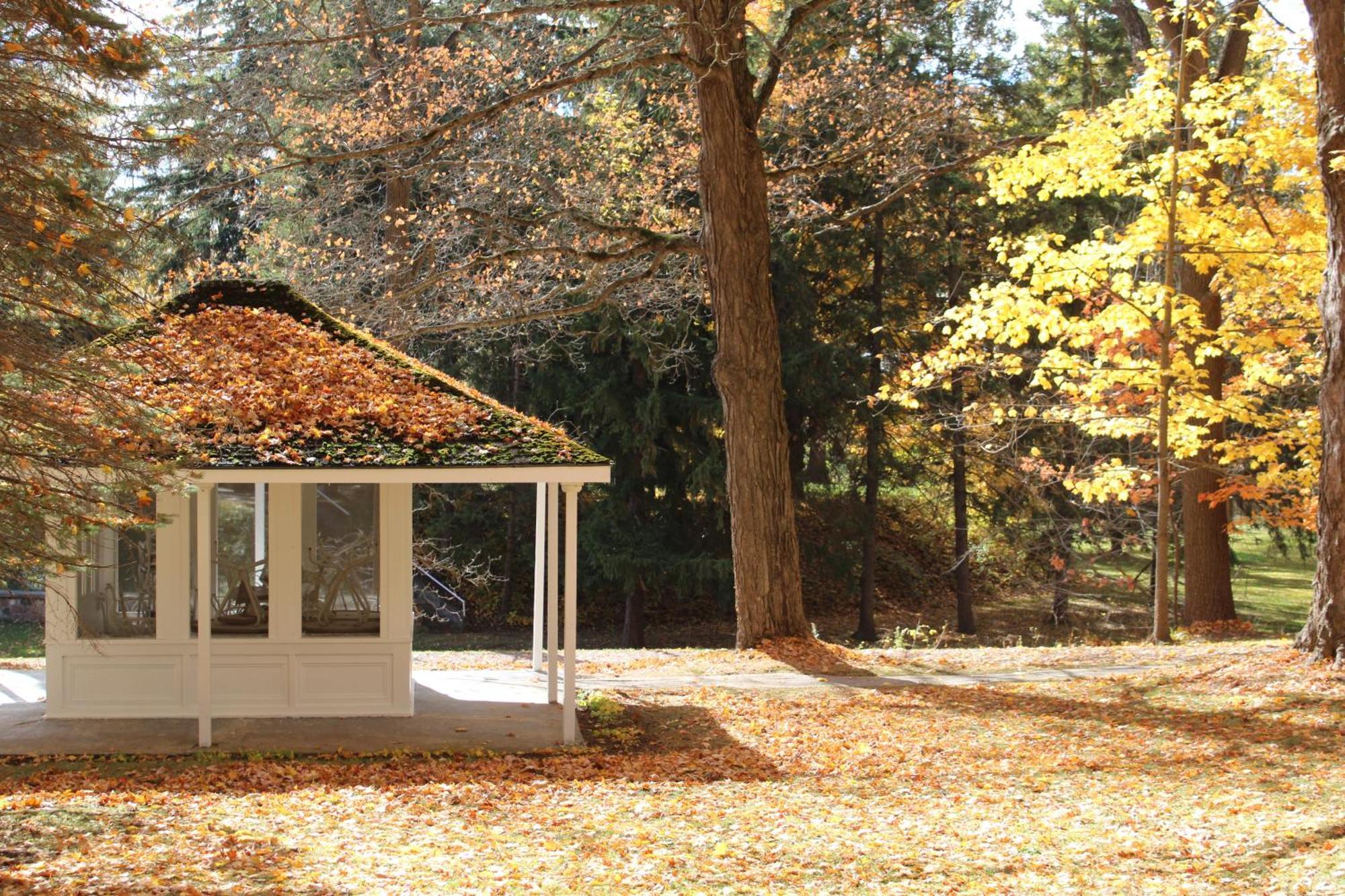 Westover Inn Saint Marys Bagian luar foto