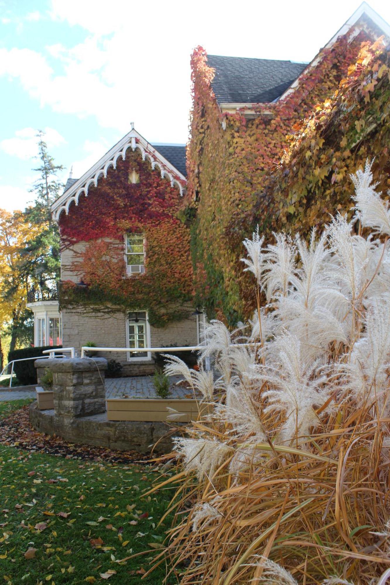 Westover Inn Saint Marys Bagian luar foto